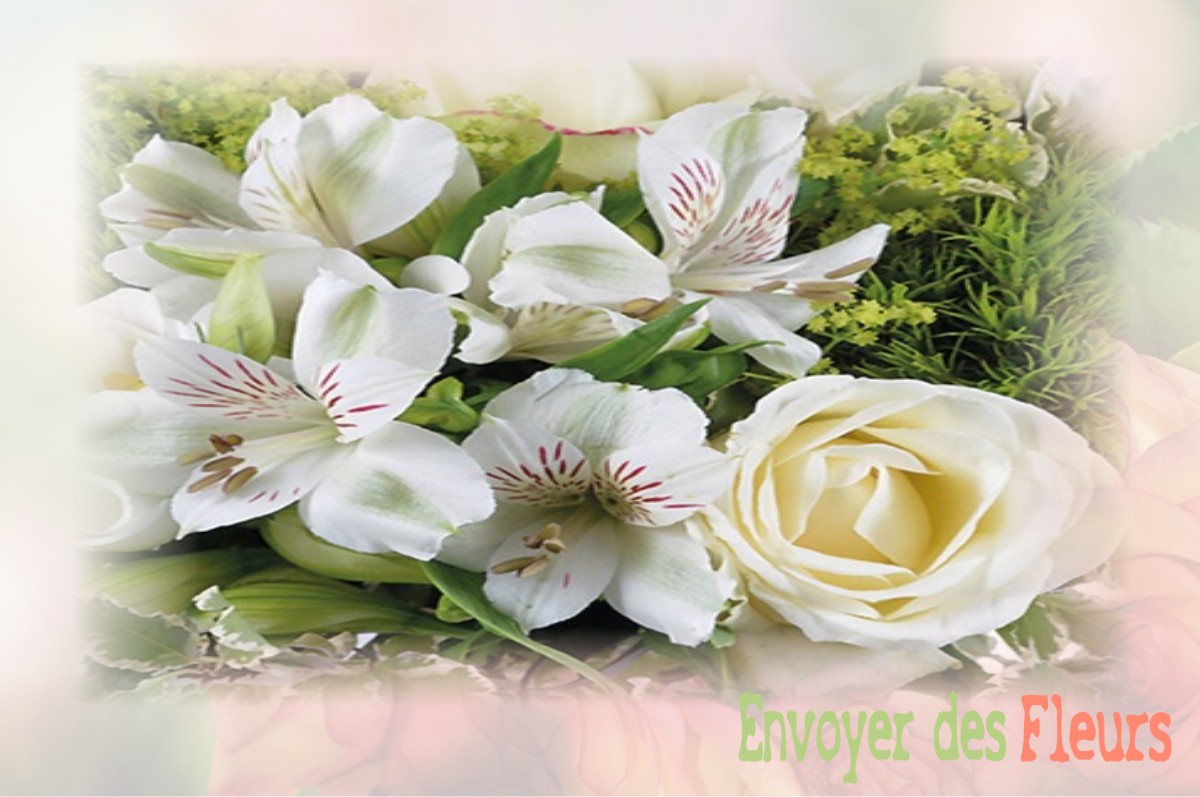 envoyer des fleurs à à SAINT-JEAN-DE-LA-HAIZE