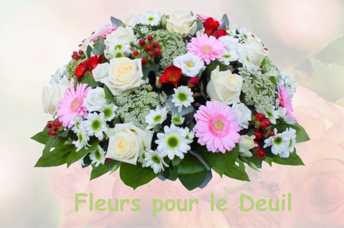 fleurs deuil SAINT-JEAN-DE-LA-HAIZE